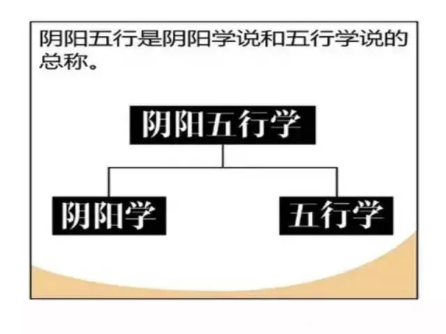 数术风水堂:数术的特征是什么?